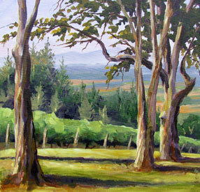 Vinyard