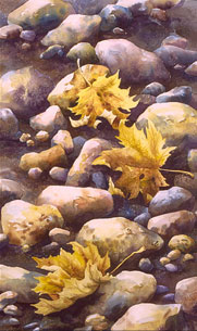 Ground Cover